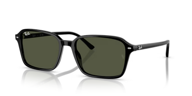 RAY-BAN RB2231 Raimond